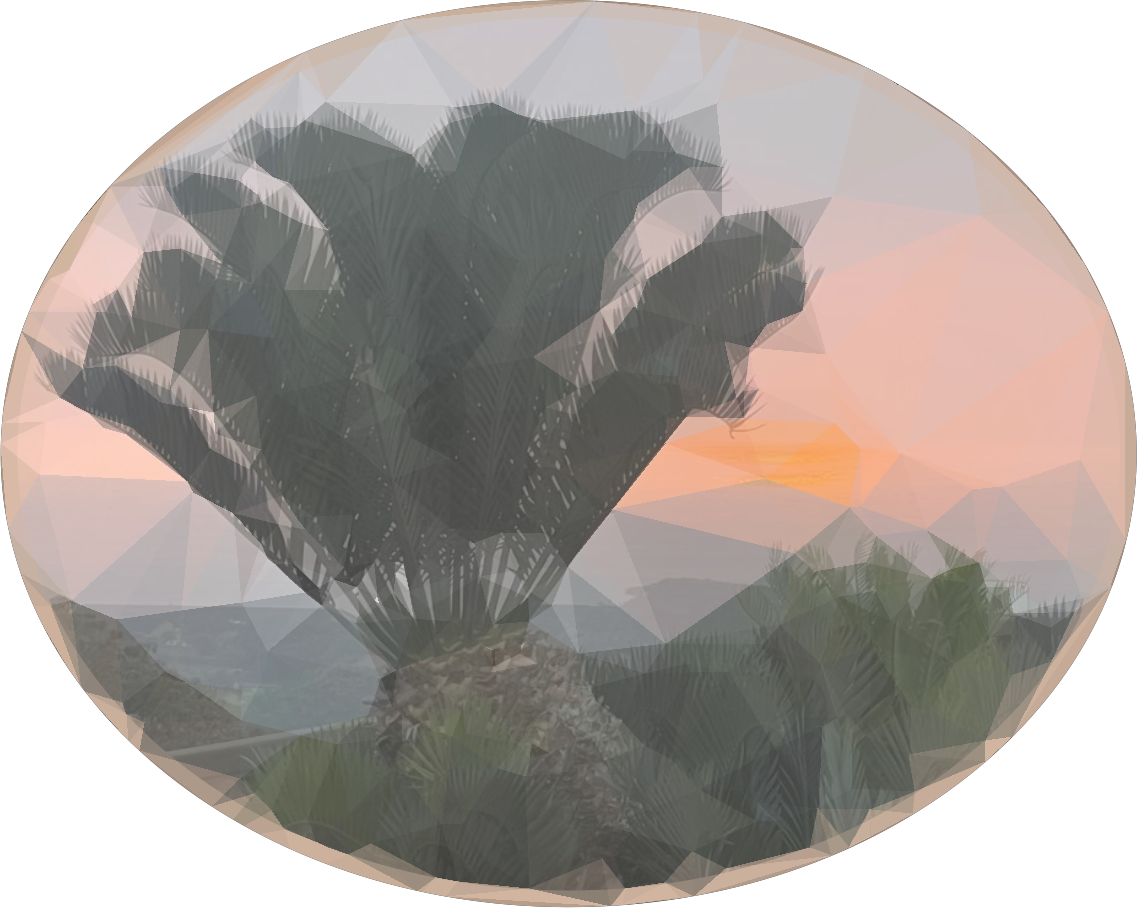 cycad sanctuary